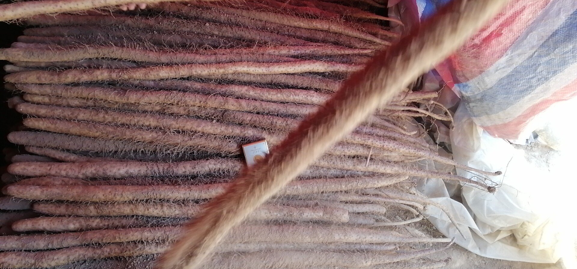 科学插画展示山药多糖(polysaccharides)的β-(1→3)-D-glucan分子链结构,旁边标注其主要生物活性:免疫调节、抗氧化、降血糖作用,背景为显微镜下的山药细胞截面图,突出活性成分分布 山药多糖分子结构与功效示意图