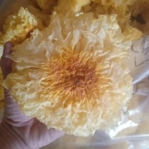 雪花银耳干货批发品质保证值得信赖！
