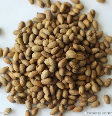 [青刺果批发]青刺果价格30.00元/斤 - 一亩田