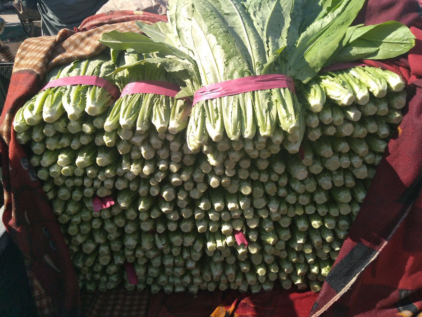 油菜花田与厨房中的油菜对比图