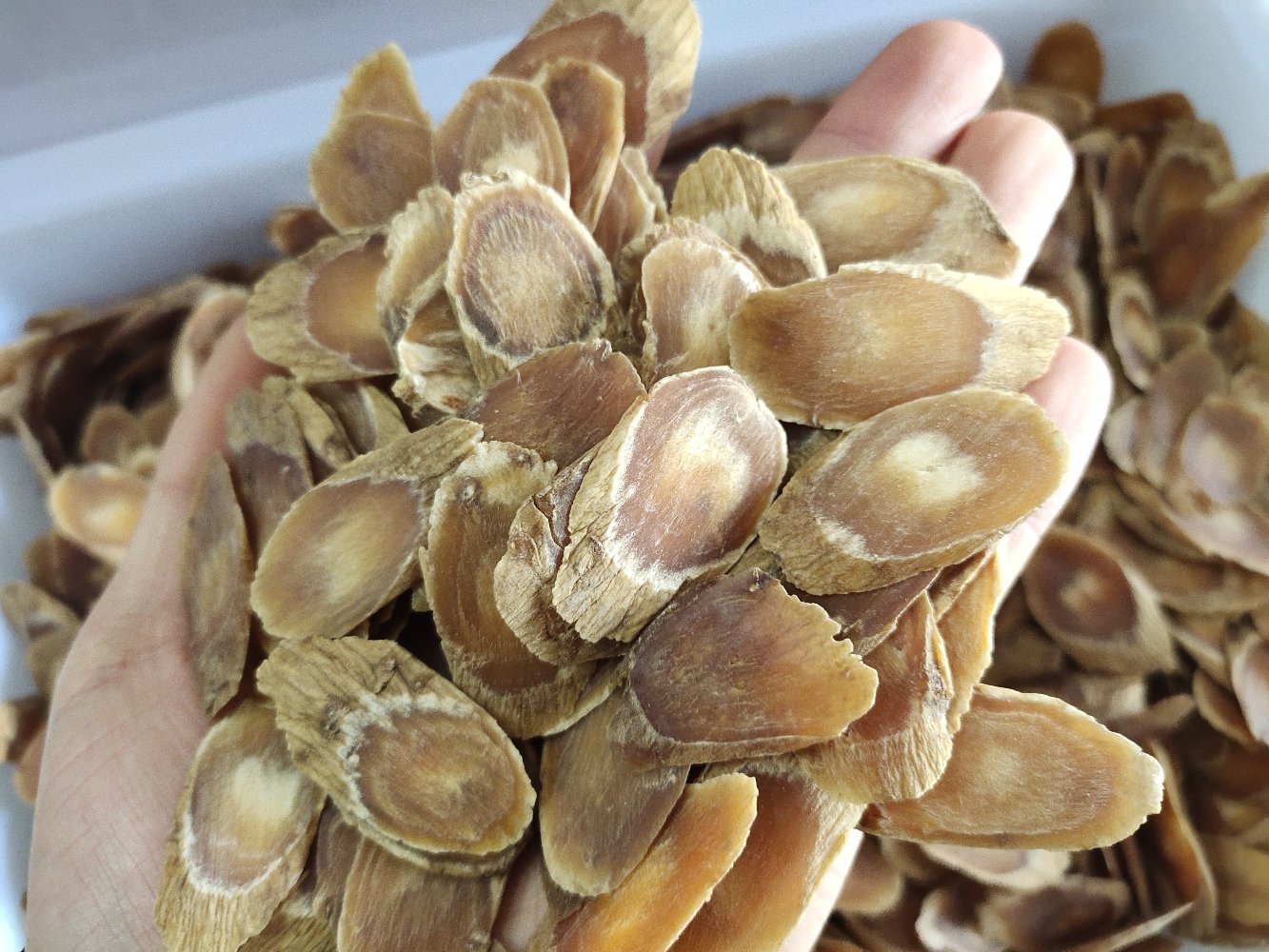 高丽参红参泡水饮用场景