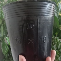 育苗袋包邮到家！尺寸齐全