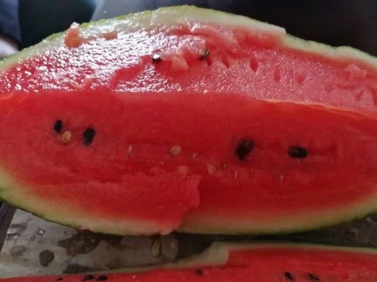 靖远黑美人西瓜切开图