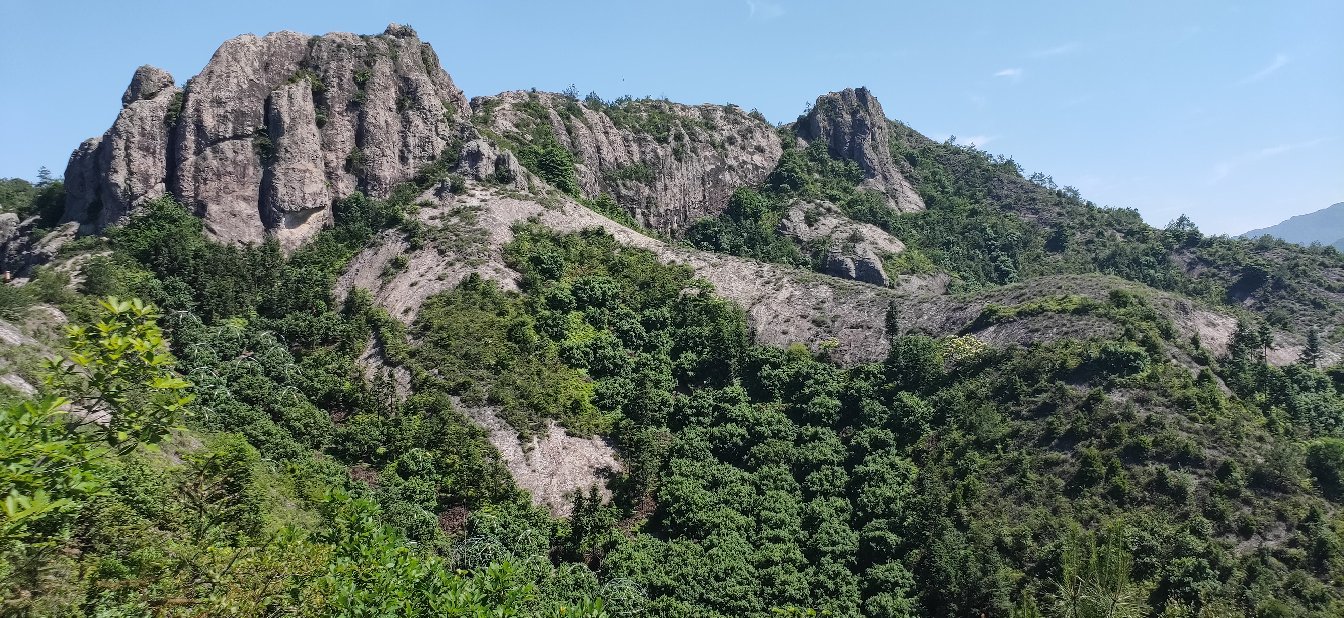 高山杨梅种植环境