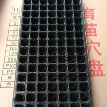 育苗基质穴盘，质量保证数量足！尺寸保准54厘米x28厘米