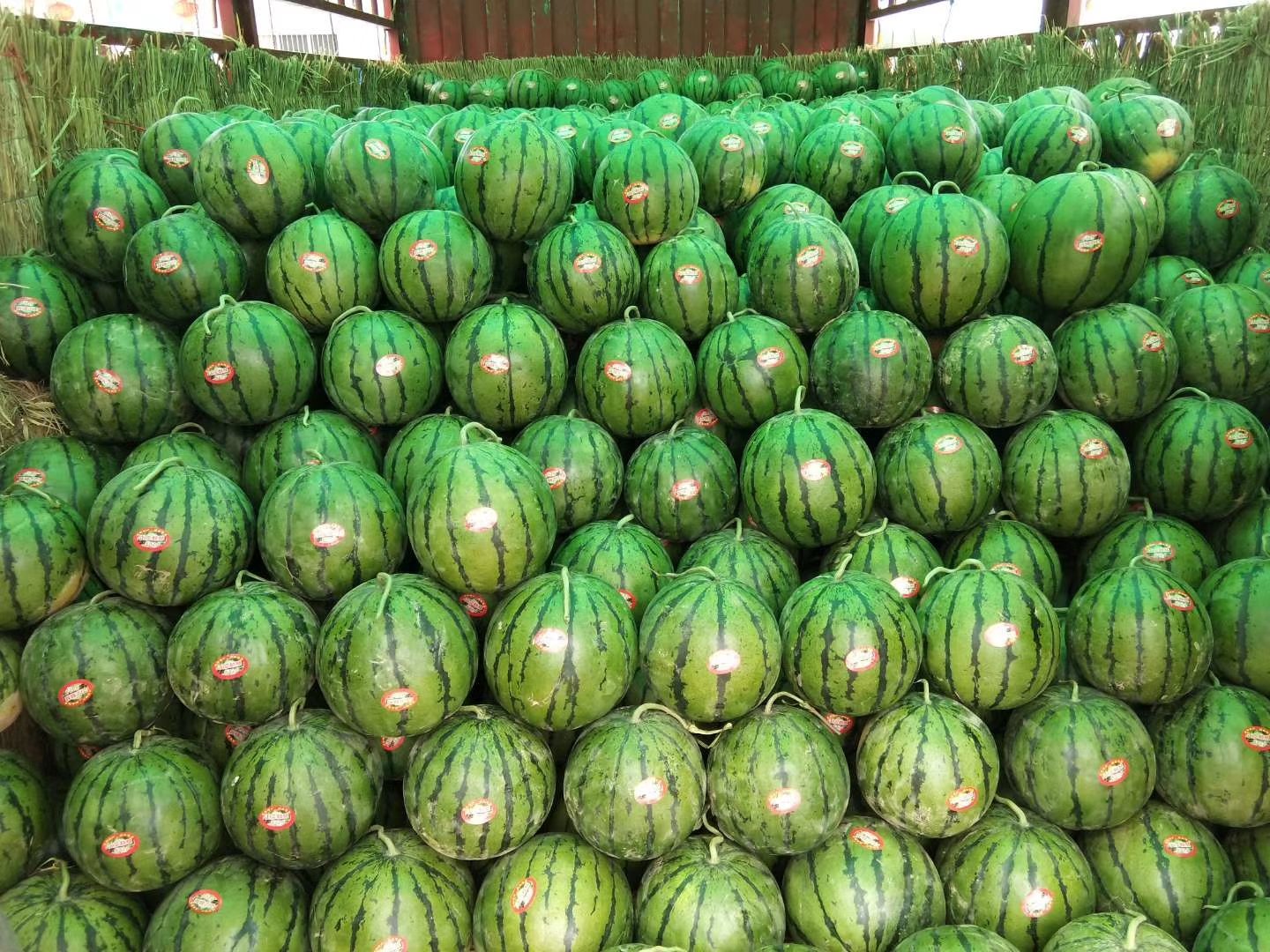 京欣西瓜在市场销售场景