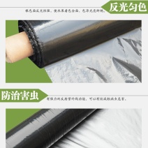 农用抗老化银黑双面反光地膜