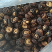 黑面菇
