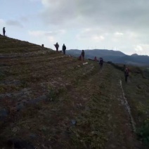 山地出租，水源多的地还有一百多亩