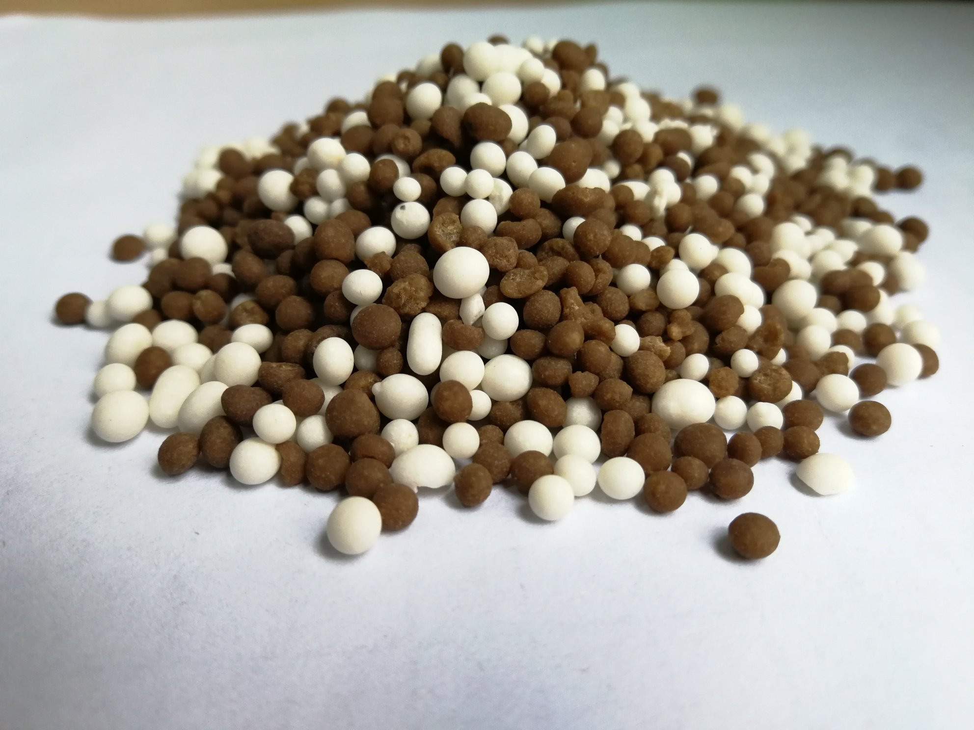 白豆蔻与白扁豆的对比图