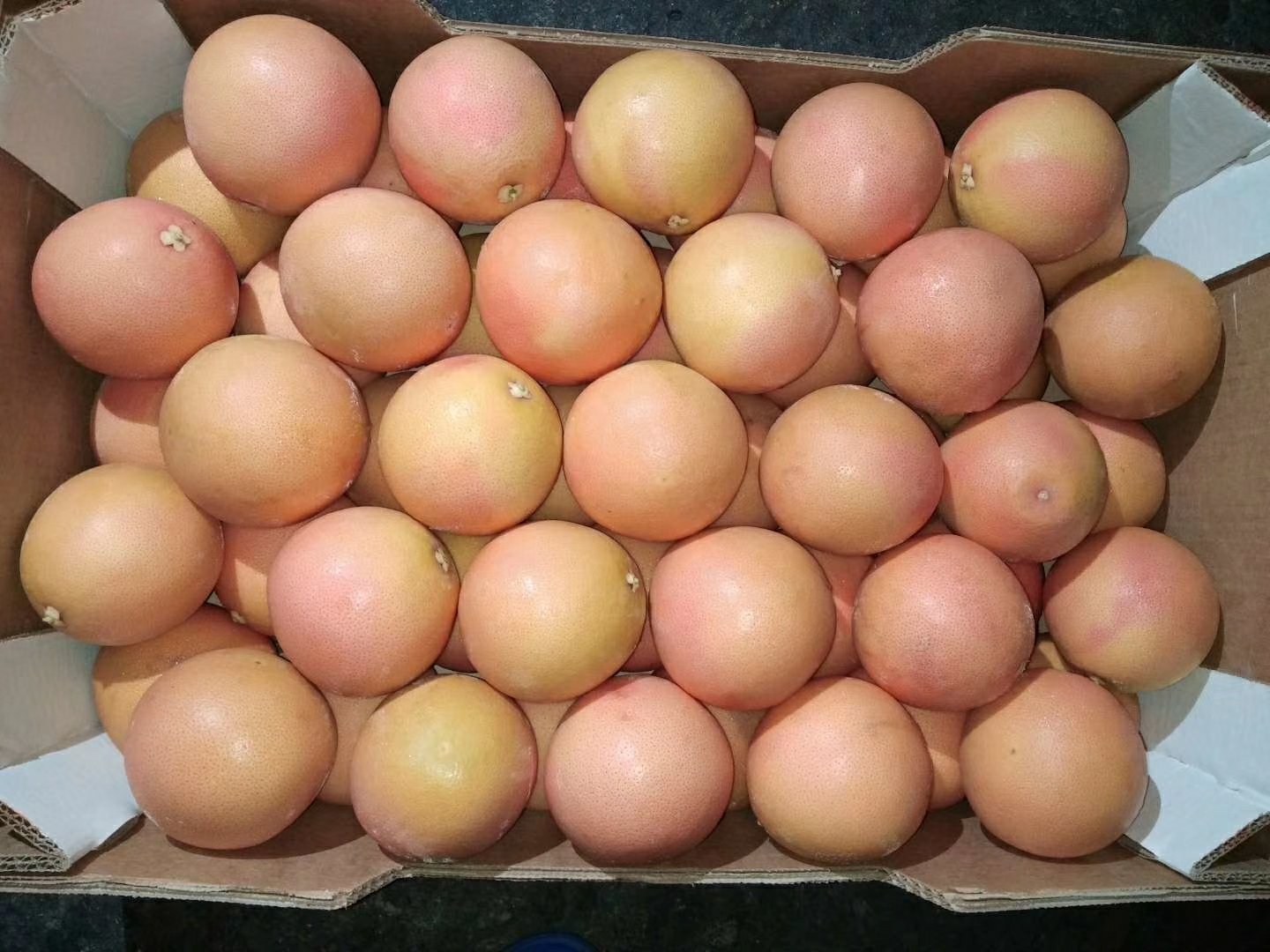 葡萄柚冰沙成品图