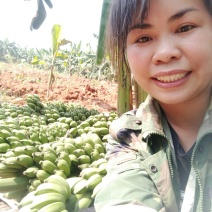 小米蕉产地直发，一手货源，一件代发，9斤净果包邮