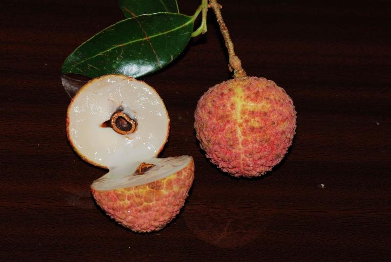 剖开的桂味荔枝果实特写,展示洁白如玉的半透明果肉,质地饱满多汁,中心可见深褐色种子,果肉紧贴种皮但易分离,背景为浅色木纹桌面,旁边放置一把不锈钢小勺 桂味荔枝剖面图