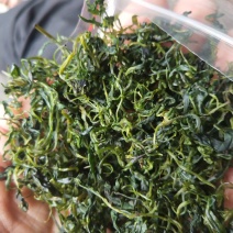 小叶苦丁茶，批发，零售自产自销欢一件也是批发价
