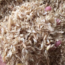 常年大量供应优质养牛专用麦糠