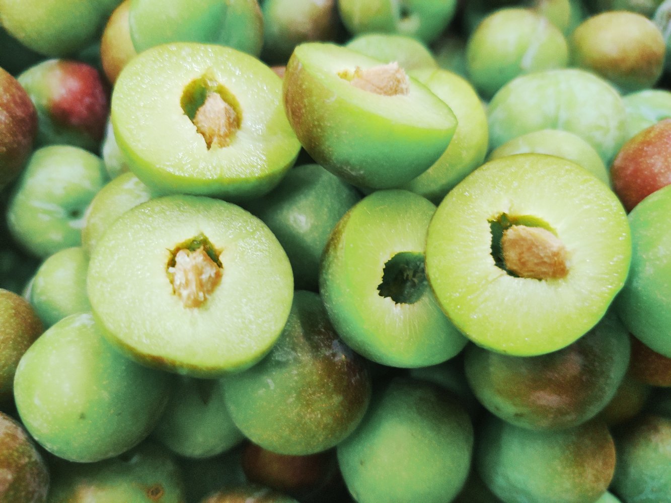 半边红李子与其他李子对比图