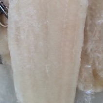 巴沙鱼系列