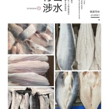 巴沙鱼系列