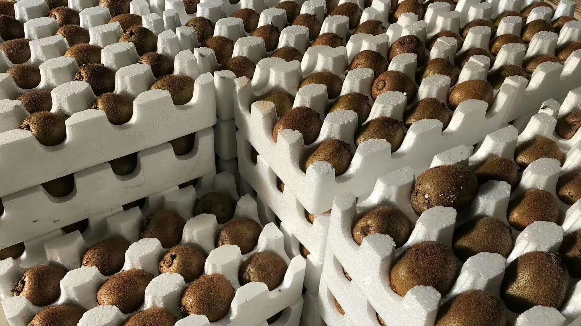 海沃德青猕猴桃包装与电商发货现场