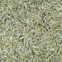 福鼎白茶白毫银针原产地