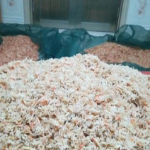 田横虾皮子