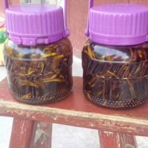 鸡枞油