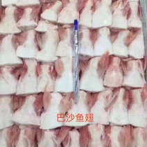 巴沙鱼