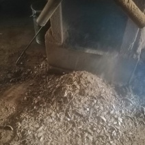 出售2019新菜籽枯油炳
