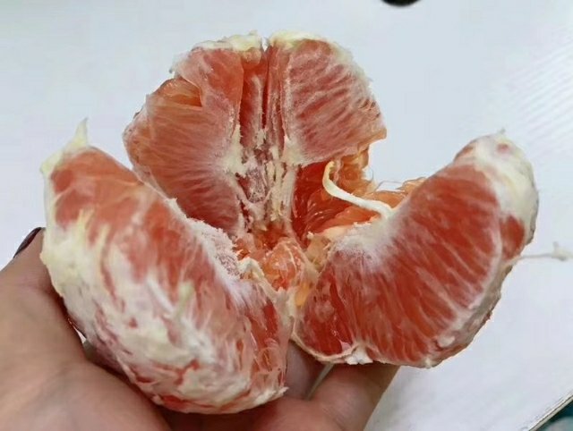 脐橙特写