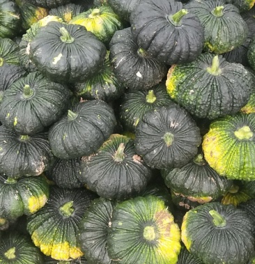 [南瓜批发]赖南瓜长期供应价格1.00元/斤 - 一亩田