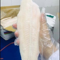 巴沙鱼，鱼柳长期大量有货
