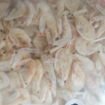 大虾皮
