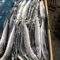刀鱼进口刀鱼3号刀鱼新鲜刀鱼西非