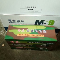 各种型号马达起动机