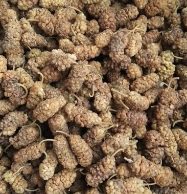 [桑葚干批发]桑葚干价格6.00元/斤 - 一亩田