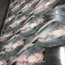 越南正关开背腌制巴沙鱼（探鱼同款质量）
