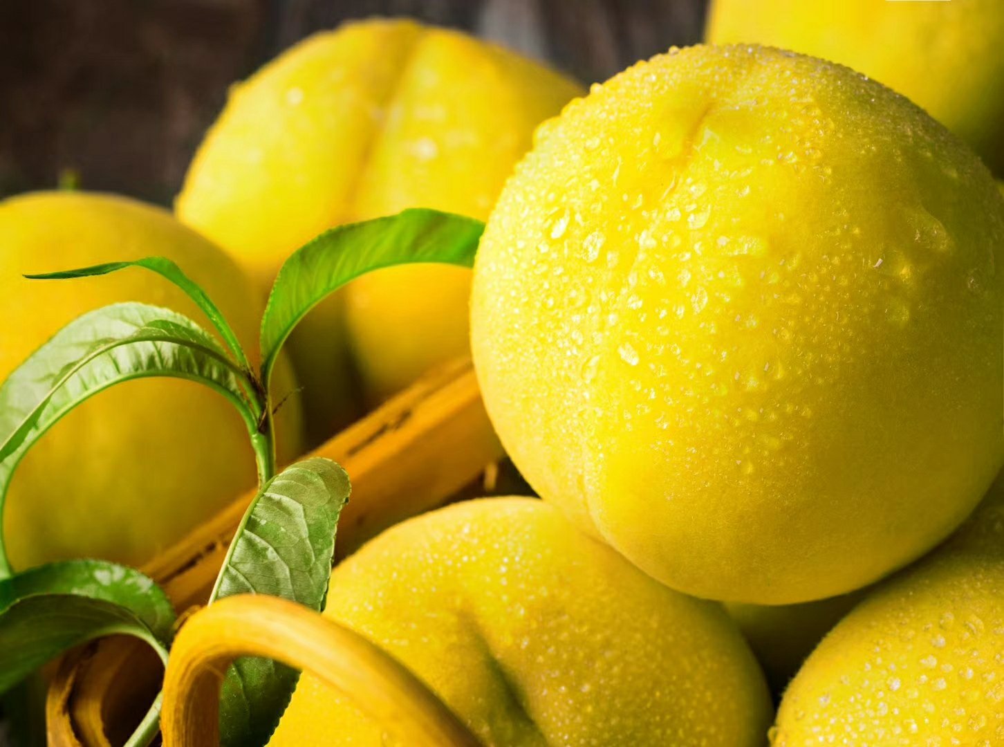 成熟的炎陵黄桃果实特写