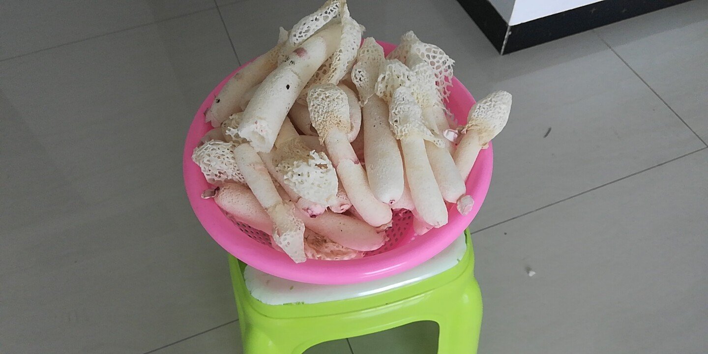 新鲜蒜薹与蘑菇摆放对比图