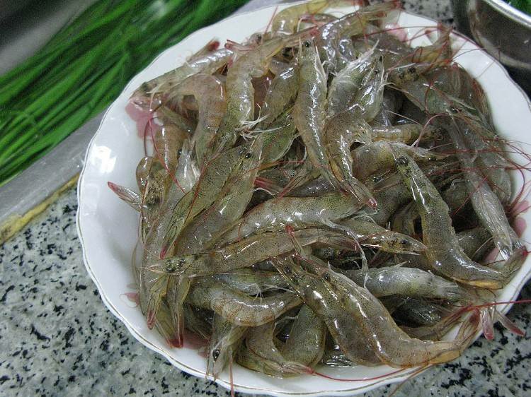 小葱与虾皮的食材准备,小葱已洗净切段,虾皮泡发沥干 小葱与虾皮的食材准备