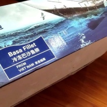 越南正关巴沙鱼
