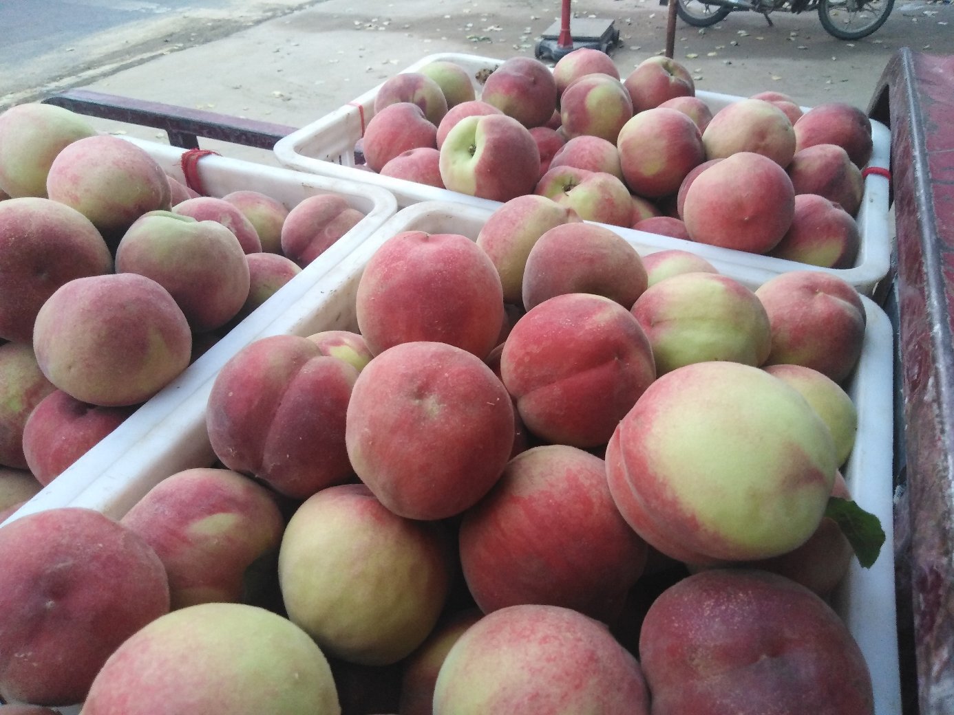 家庭厨房中朱砂红桃储存对比图：左侧为正确保存（纸巾包裹+敞口保鲜盒，桃体挺实、朱砂红鲜亮）；右侧为错误保存（密封袋堆积，果皮萎蔫、局部褐变）；背景为简约中式料理台，突出生活化应用场景