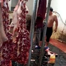 带皮驴肉