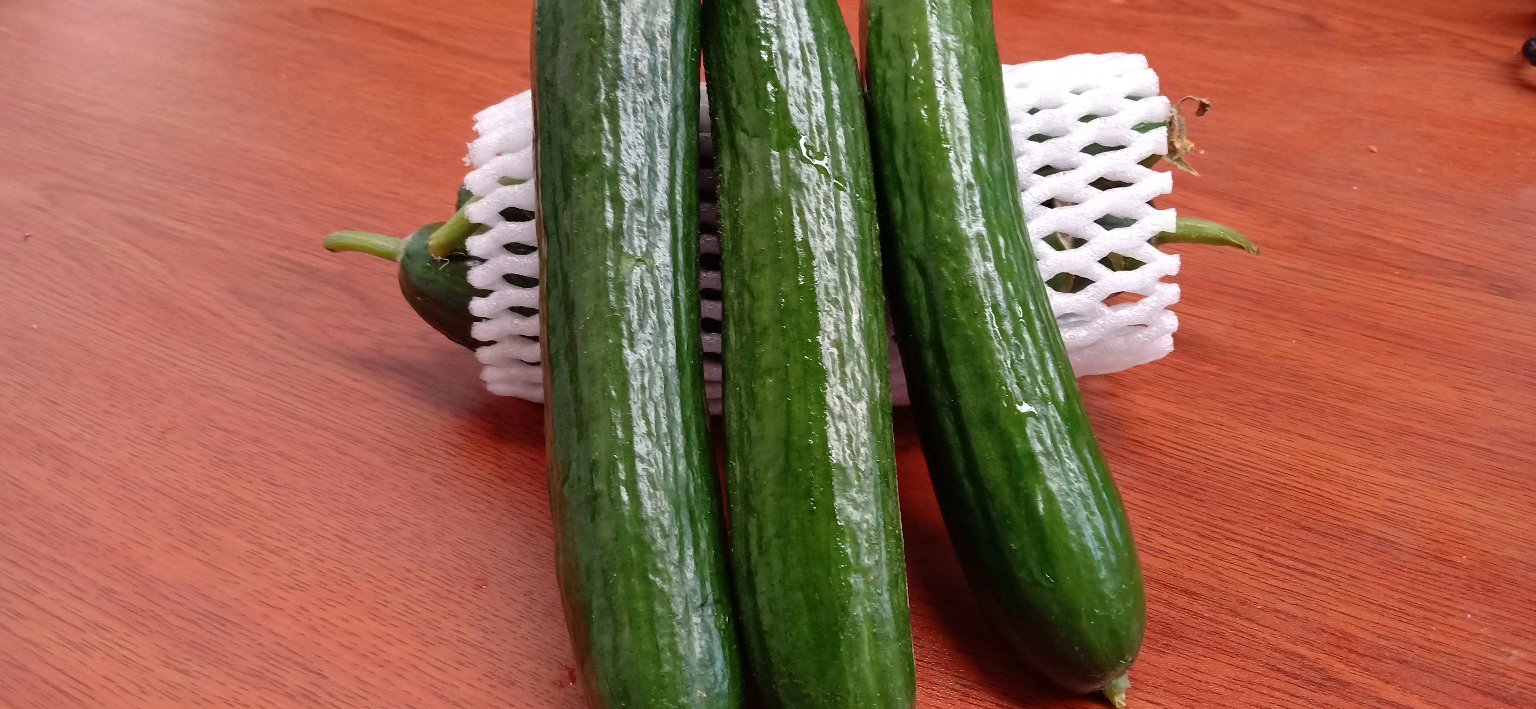 一位厨师正在用清水和盐清洗一根黄瓜,案板上摆放着几根新鲜小黄瓜 清洗黄瓜的场景