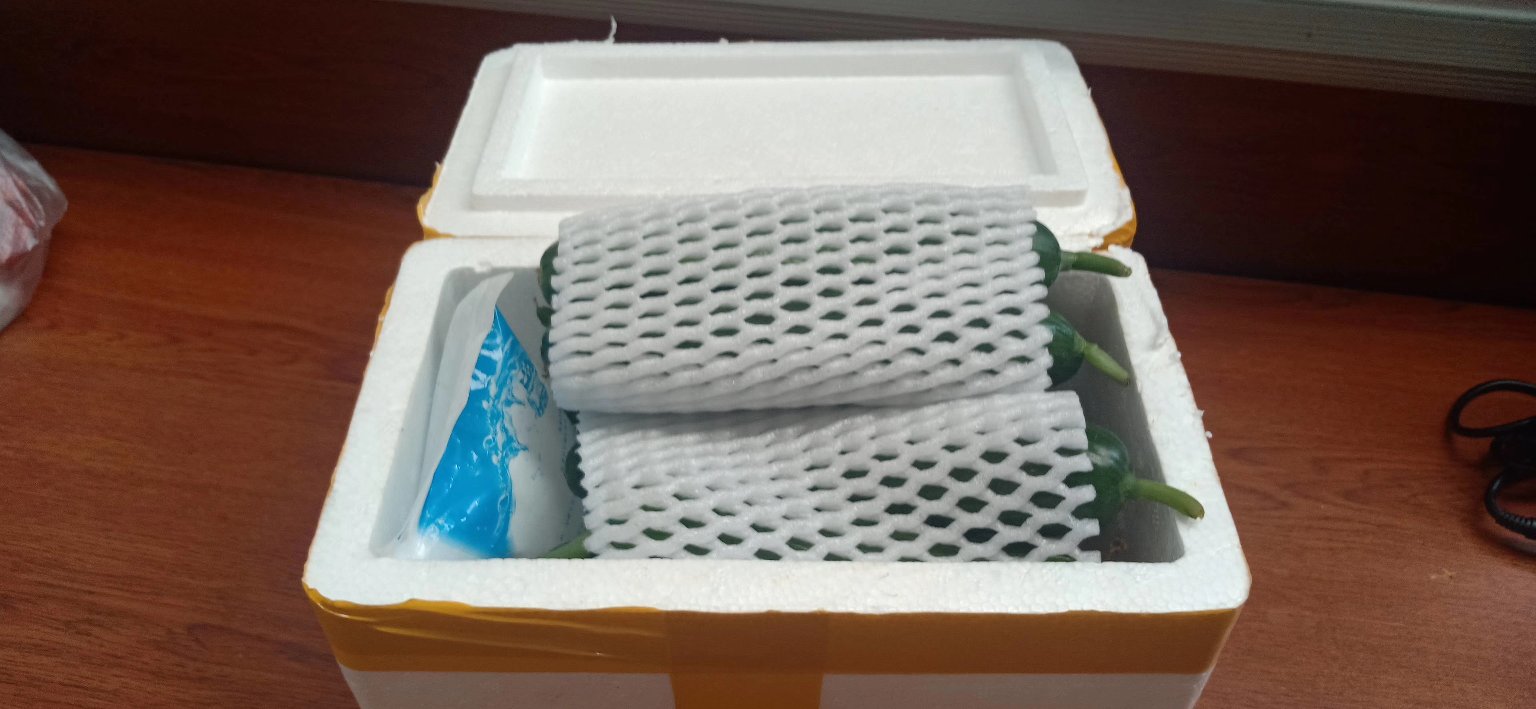 小黄瓜储存方式