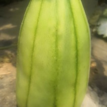 量大从优