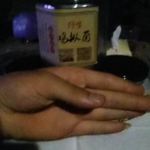 鸡纵油