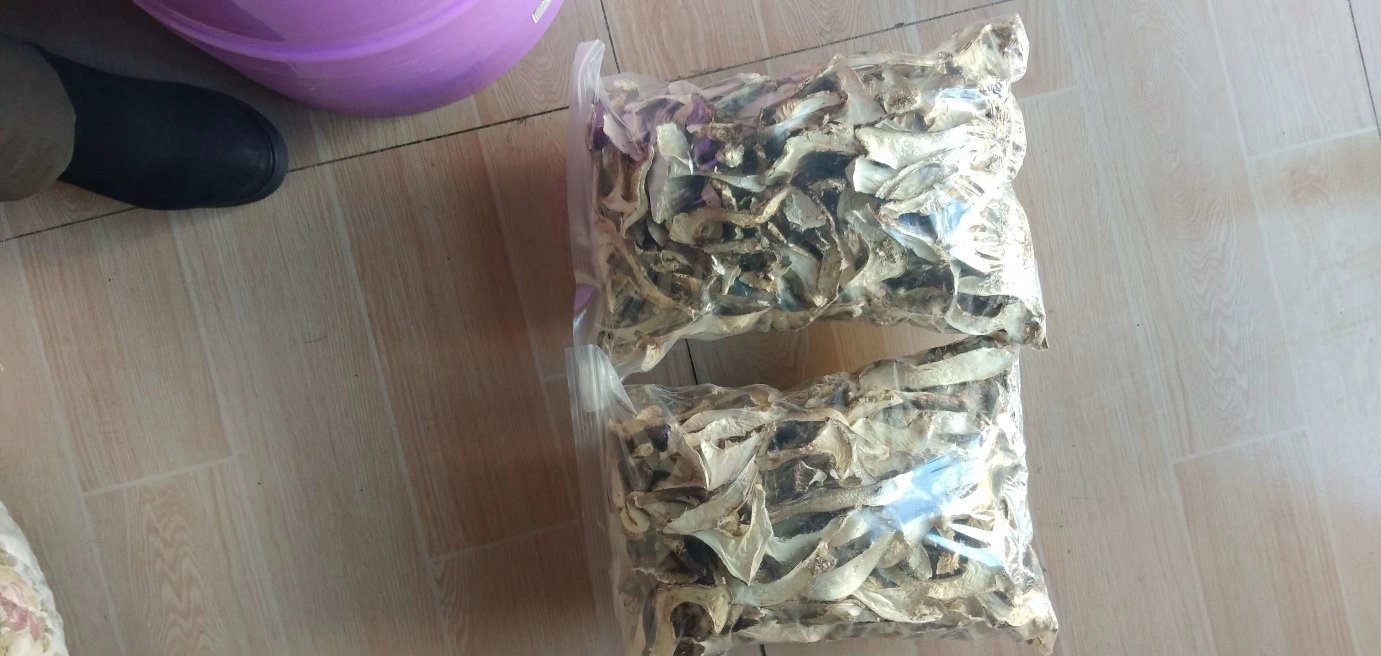 干燥的松茸片整齐排列在木盘上,旁边配有传统中药包装袋 松茸干制品展示