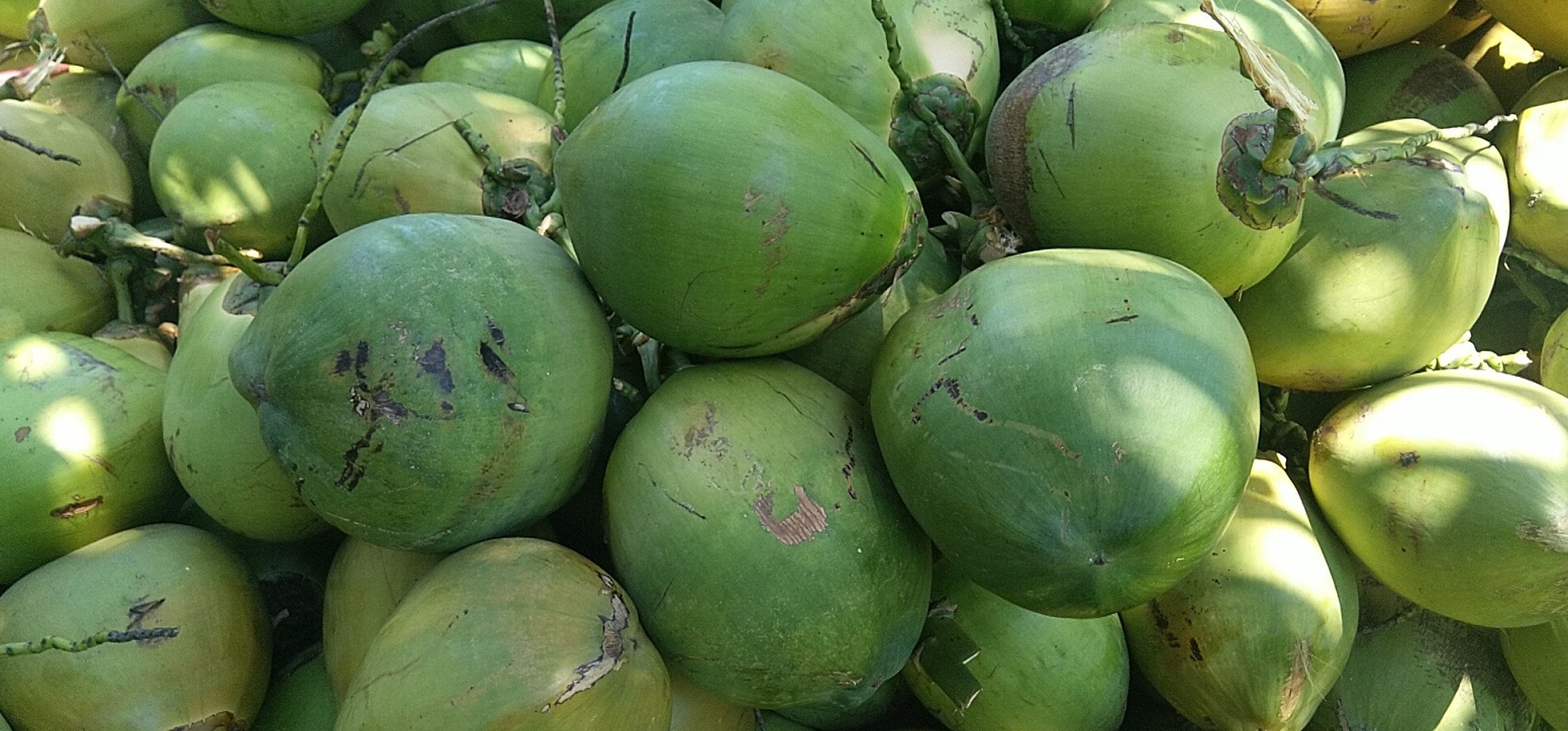 阳光玫瑰椰子水成品图