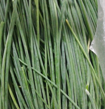 [沙葱批发]鲜沙葱,内蒙古阿拉善基地,四季供应,欢迎选购价格20.