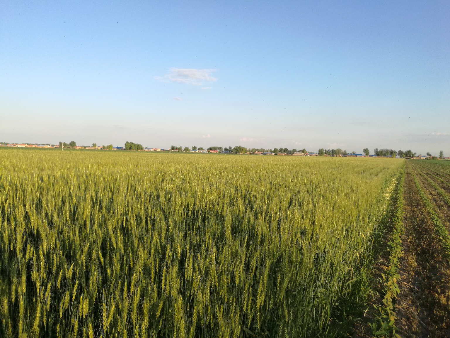 农业合作社签约仪式现场